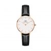dw-petite-28-reading-rg-cat