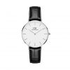 dw-petite-reading-s-white-cat