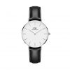 dw-petite-sheffield-s-white-cat