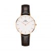 dw-petite-york-rg-white-cat