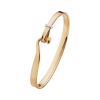 pack__3510542_Torun_Bangle_1204_RG_WG