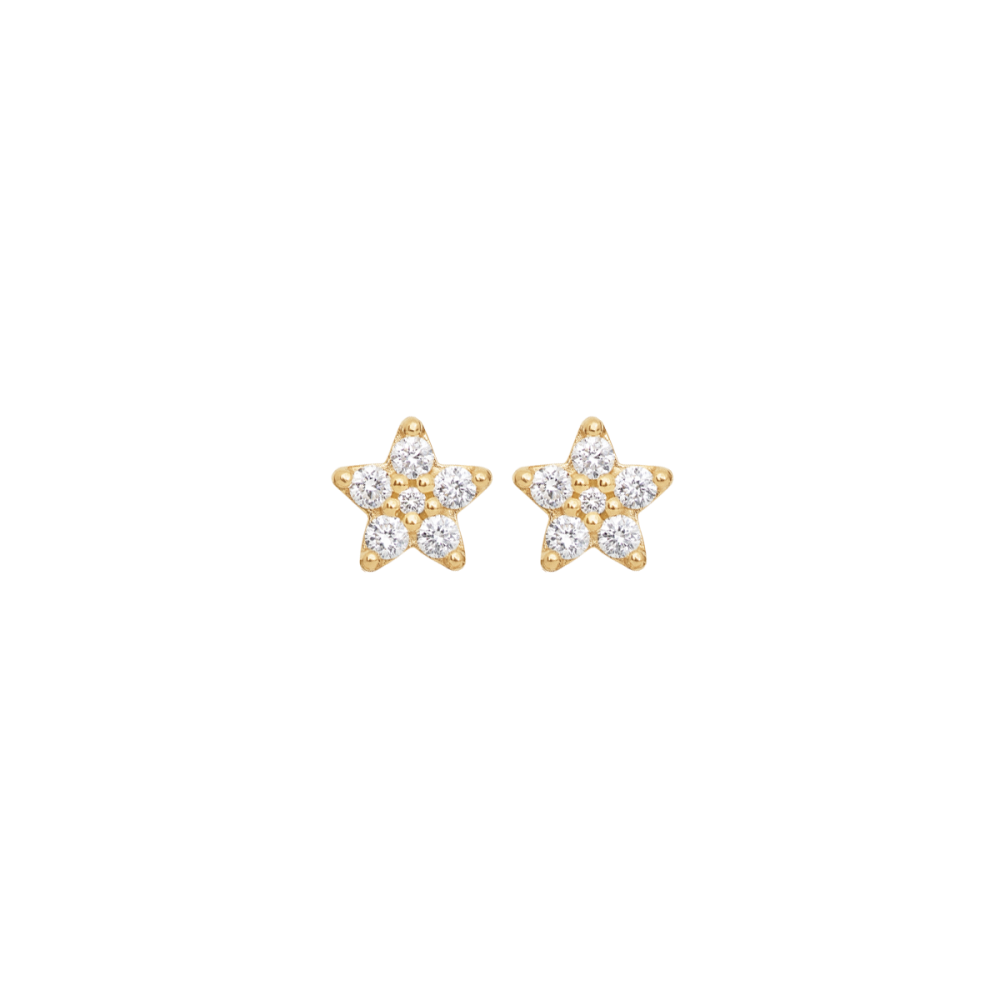 stars stor