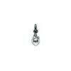 charm silver 2