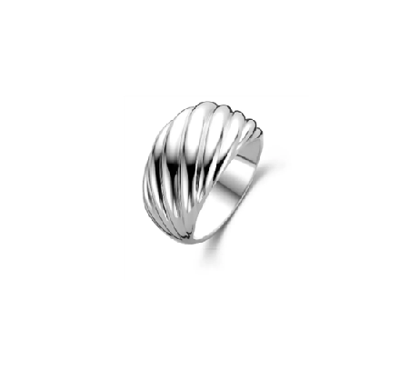 Ti Sento Ring 12238SI